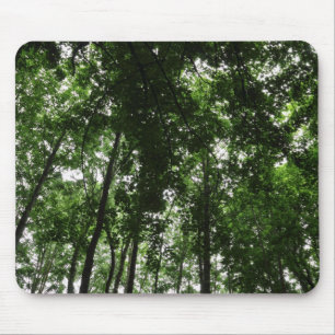 Tapis De Souris Canopée des bois 01