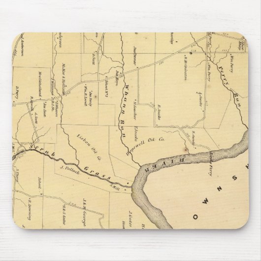 Tapis De Souris Canton de Scrub Grass (Devant)