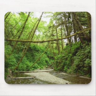 Tapis De Souris Canyon Fern I dans le parc national de Redwood