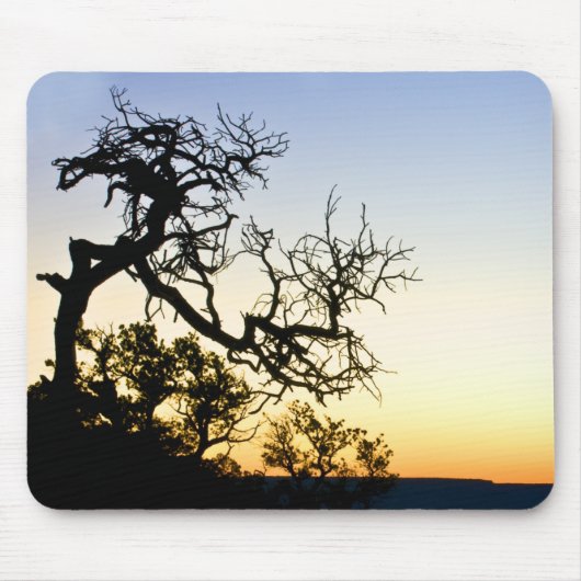 Tapis De Souris Canyon grand (Devant)