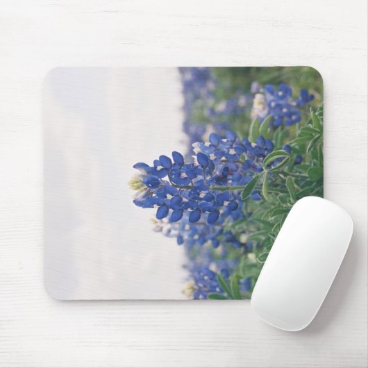 Tapis De Souris Capot bleu (Avec souris)