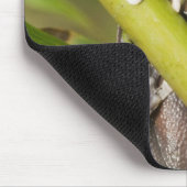 Tapis De Souris Captive Tapichalaca Grenouille Hyloscirtus (Coin)