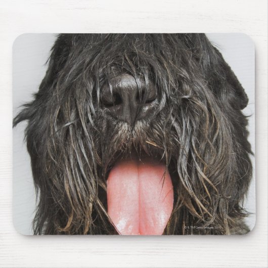 Tapis De Souris Capture de studio (Devant)