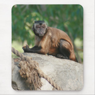 Tapis De Souris Capuchin Singe Mignonne Mais Cranky