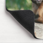 Tapis De Souris Capuchin Singe Mignonne Mais Cranky (Coin)