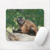 Tapis De Souris Capuchin Singe Mignonne Mais Cranky (Avec souris)