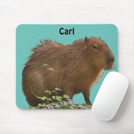 Tapis De Souris Capybara (Avec souris)