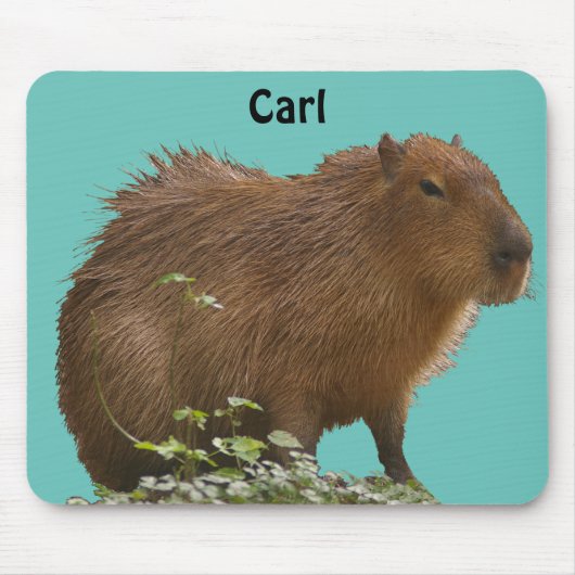 Tapis De Souris Capybara (Devant)