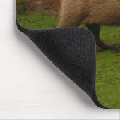 Tapis De Souris capybara (Coin)
