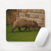 Tapis De Souris capybara (Avec souris)