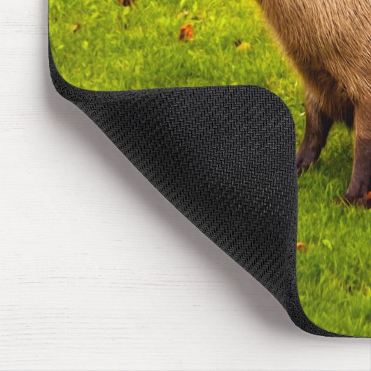 Tapis De Souris Capybara (Coin)