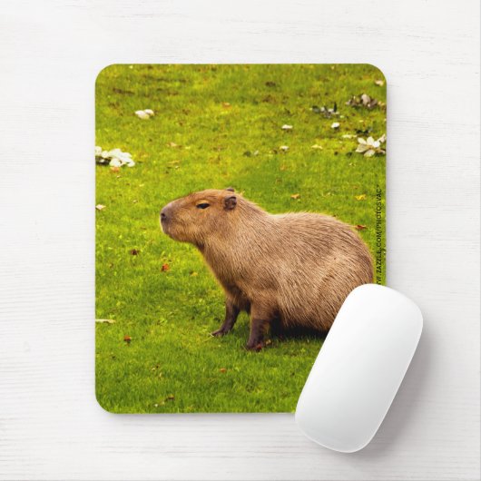 Tapis De Souris Capybara (Avec souris)