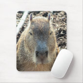 TAPIS DE SOURIS CAPYBARA (Avec souris)