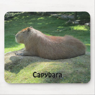Tapis De Souris Capybara - Gros Rongeur