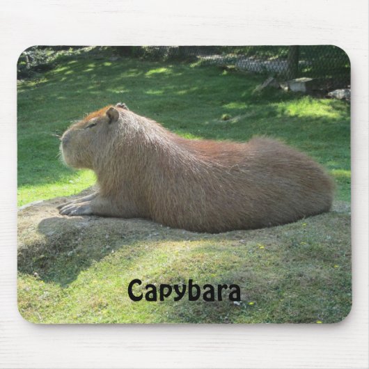Tapis De Souris Capybara - Gros Rongeur (Devant)