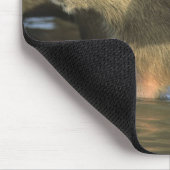 Tapis De Souris Capybara, Hydrochaeris hydrochaeris), du monde (Coin)