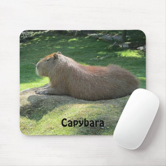 Tapis De Souris Capybara - Rodent géant (Avec souris)