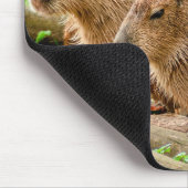 Tapis De Souris Capybara Trio (Coin)