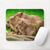 Tapis De Souris Capybara Trio (Avec souris)