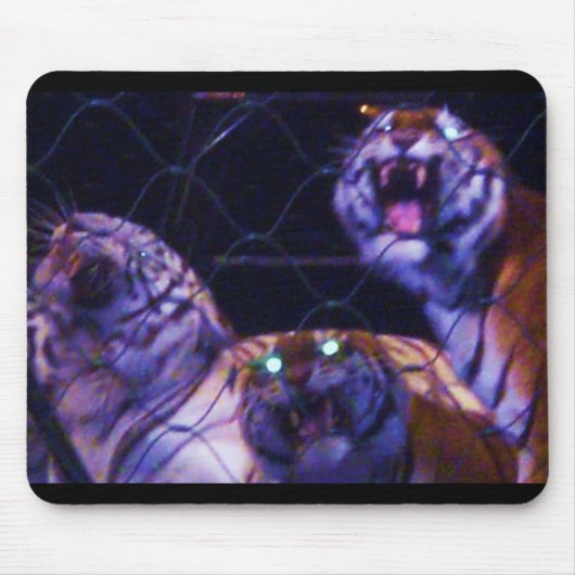 TAPIS DE SOURIS CARACTÉRISTIQUES DE CAGE (Devant)