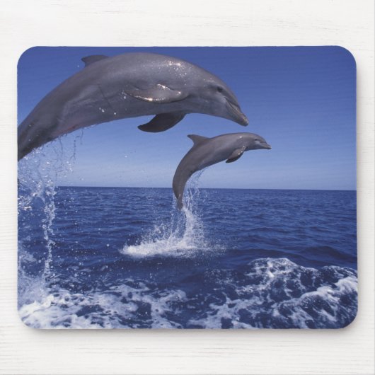 Tapis De Souris Caraïbes, dauphins à gros nez (Devant)