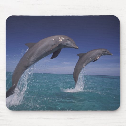 Tapis De Souris Caraïbes, dauphins de Bottlenose Tursiops (Devant)