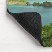 Tapis De Souris Caraïbes, îles Vierges américaines, Saint-Jean, Tr (Coin)