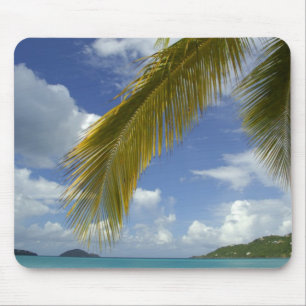 Tapis De Souris Caraïbes, Îles Vierges américaines, St.Thomas,