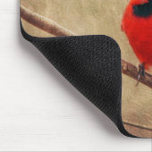 Tapis De Souris Cardinal (Coin)