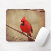 Tapis De Souris Cardinal (Avec souris)