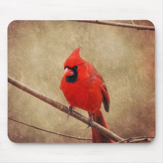 Tapis De Souris Cardinal (Devant)
