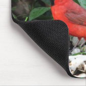 Tapis De Souris Cardinal (Coin)
