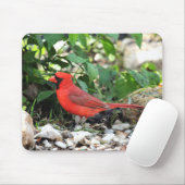 Tapis De Souris Cardinal (Avec souris)