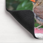 Tapis De Souris Cardinal (Coin)