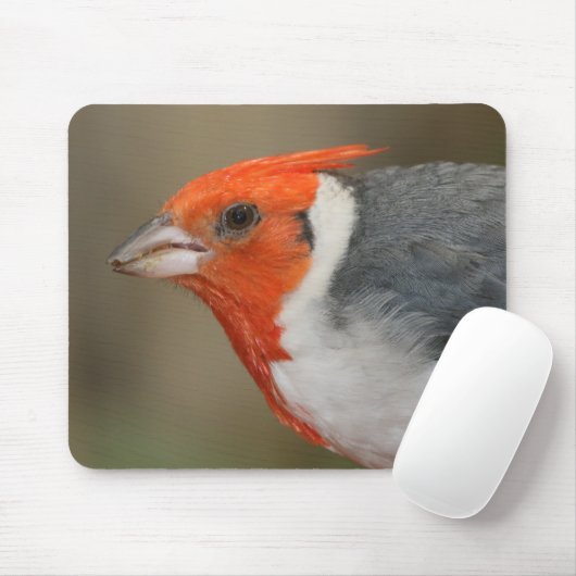 Tapis De Souris Cardinal crêté rouge (Avec souris)