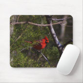Tapis De Souris Cardinal dans l'arbre (Avec souris)