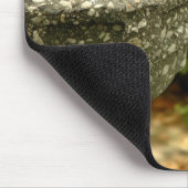 Tapis De Souris Cardinal dans le Central Park Mousepad (Coin)