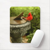 Tapis De Souris Cardinal dans le Central Park Mousepad (Avec souris)