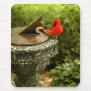 Tapis De Souris Cardinal dans le Central Park Mousepad