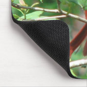 Tapis De Souris Cardinal dans le houx (Coin)