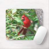 Tapis De Souris Cardinal dans le houx (Avec souris)