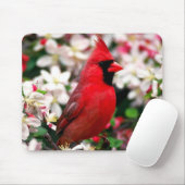 Tapis De Souris Cardinal du nord (Avec souris)