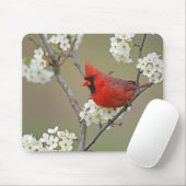 Tapis De Souris Cardinal du Nord (Avec souris)