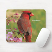 Tapis De Souris Cardinal du nord 2 (Avec souris)