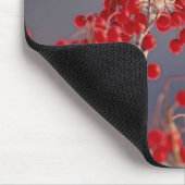 Tapis De Souris Cardinal du Nord chez l'aubépine (Coin)