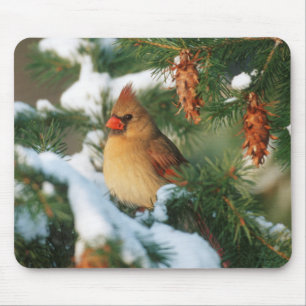 Tapis De Souris Cardinal du Nord dans un arbre, Illinois