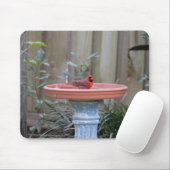 Tapis De Souris Cardinal en bleu Birdbath (Avec souris)