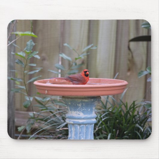 Tapis De Souris Cardinal en bleu Birdbath (Devant)