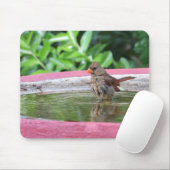 Tapis De Souris Cardinal féminin à Birdbath (Avec souris)
