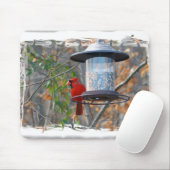 Tapis De Souris Cardinal masculin (Avec souris)